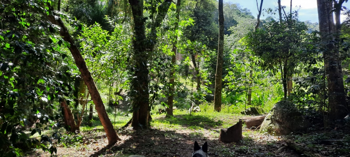 Sítio em , São Roque - Foto 9